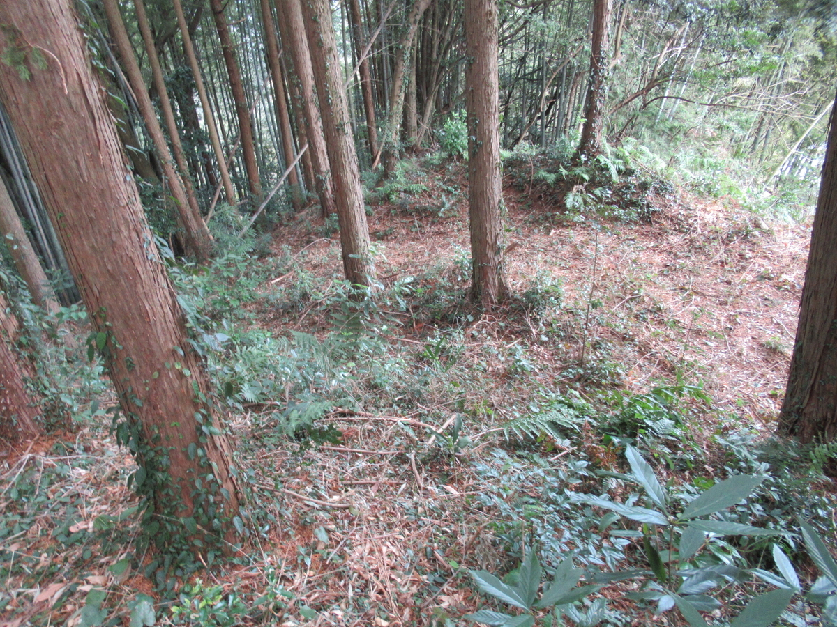 f:id:mai9mami:20210213134930j:plain