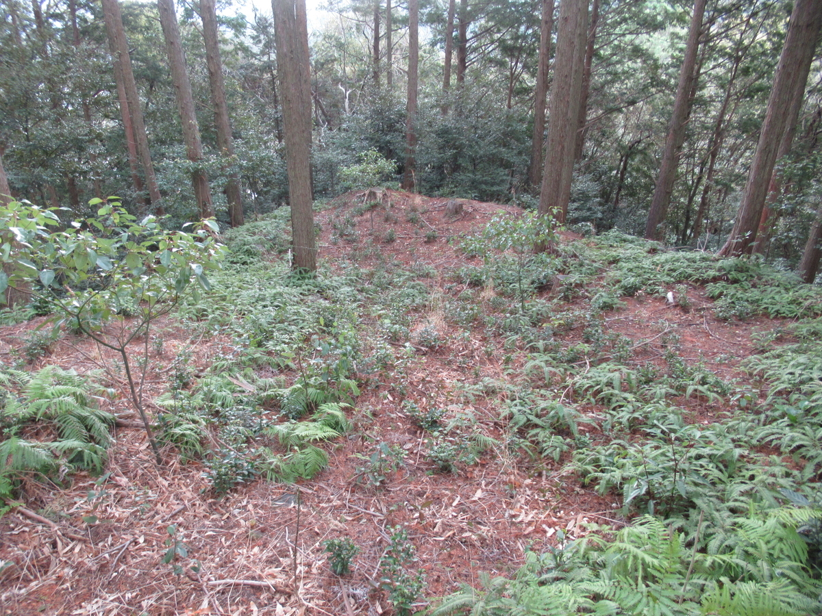 f:id:mai9mami:20210213135921j:plain