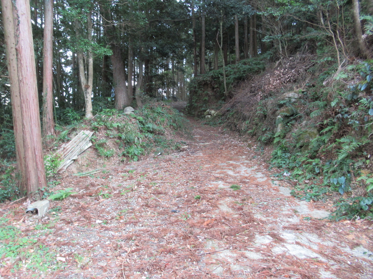 f:id:mai9mami:20210213140413j:plain