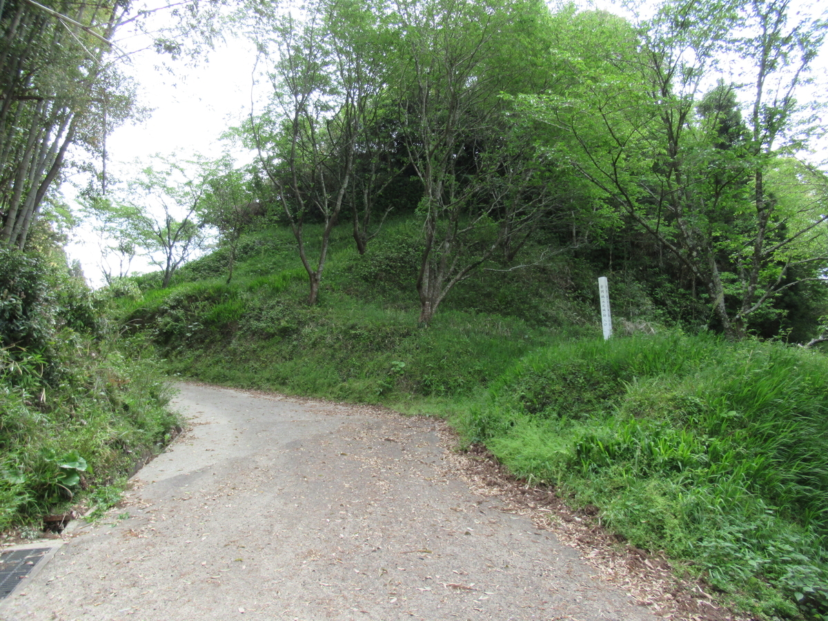 f:id:mai9mami:20210411112012j:plain