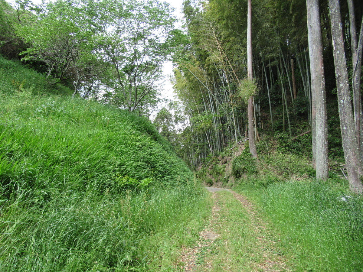 f:id:mai9mami:20210411113102j:plain