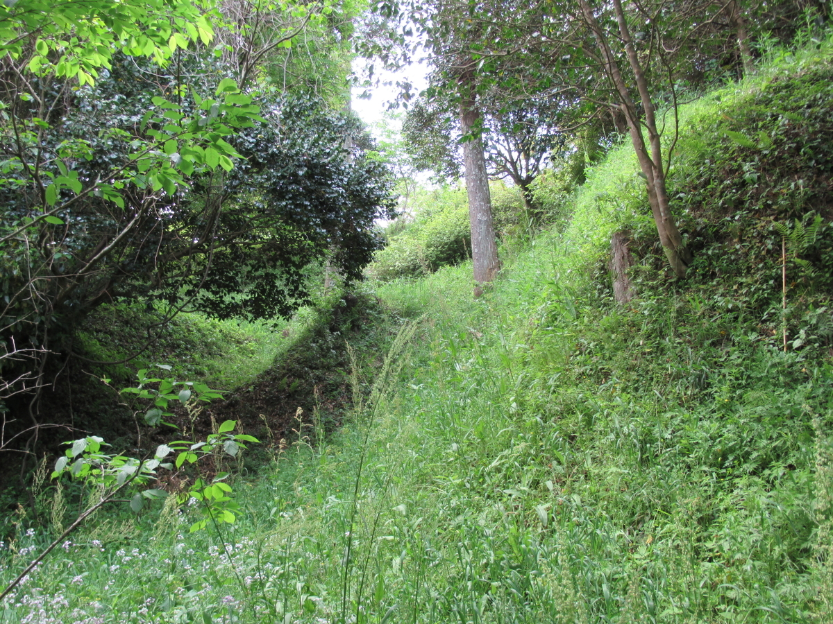 f:id:mai9mami:20210411123739j:plain