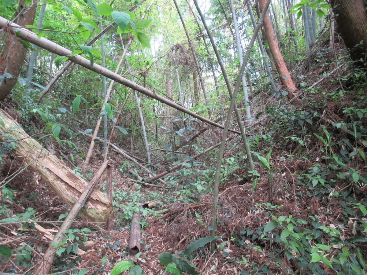 f:id:mai9mami:20210411124438j:plain