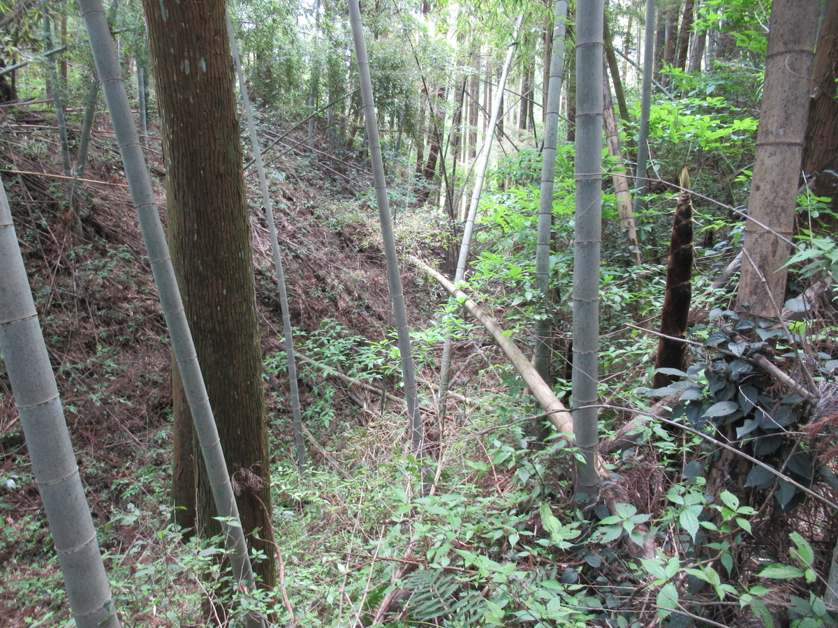 f:id:mai9mami:20210411124937j:plain