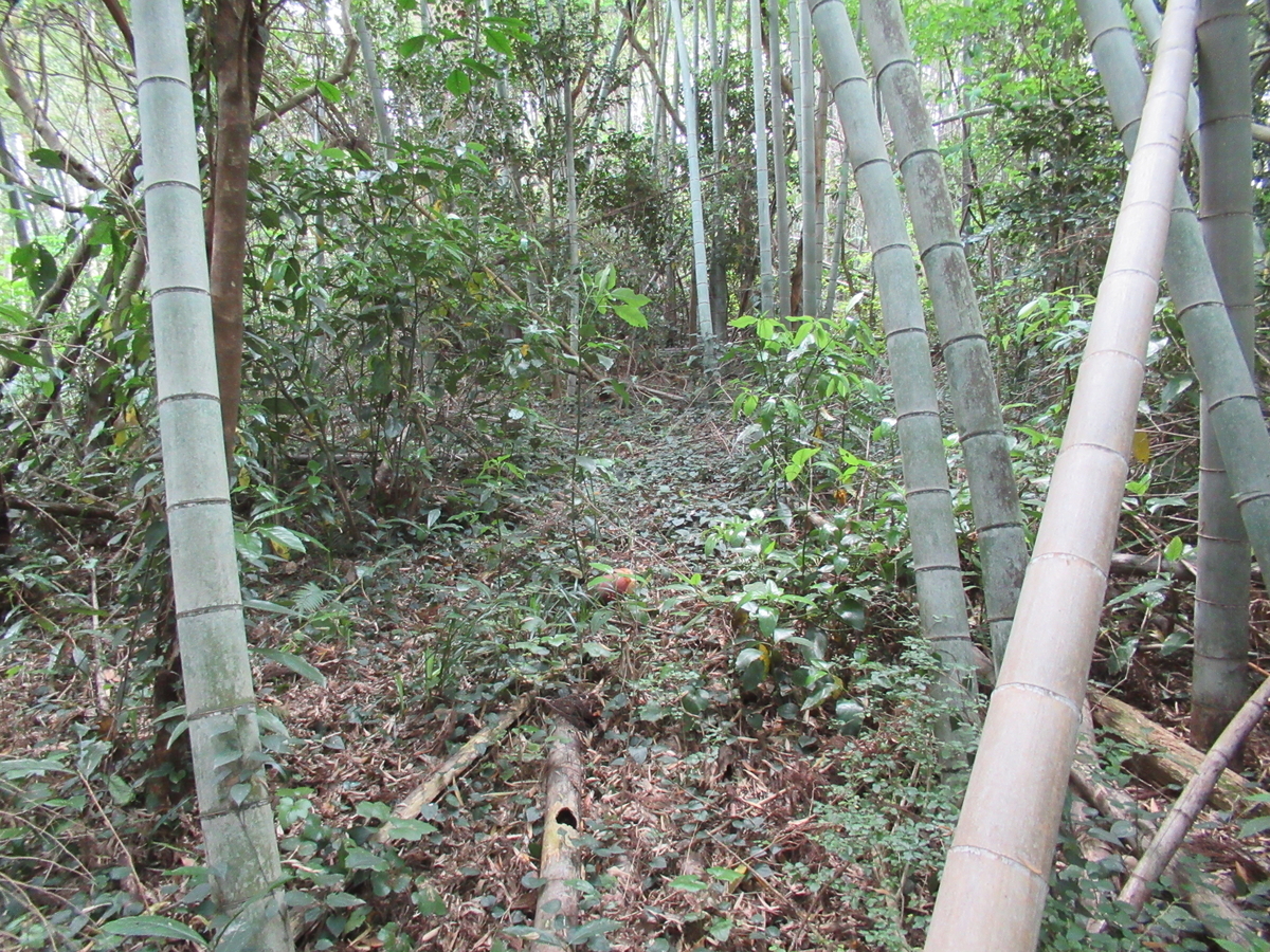 f:id:mai9mami:20210411125048j:plain