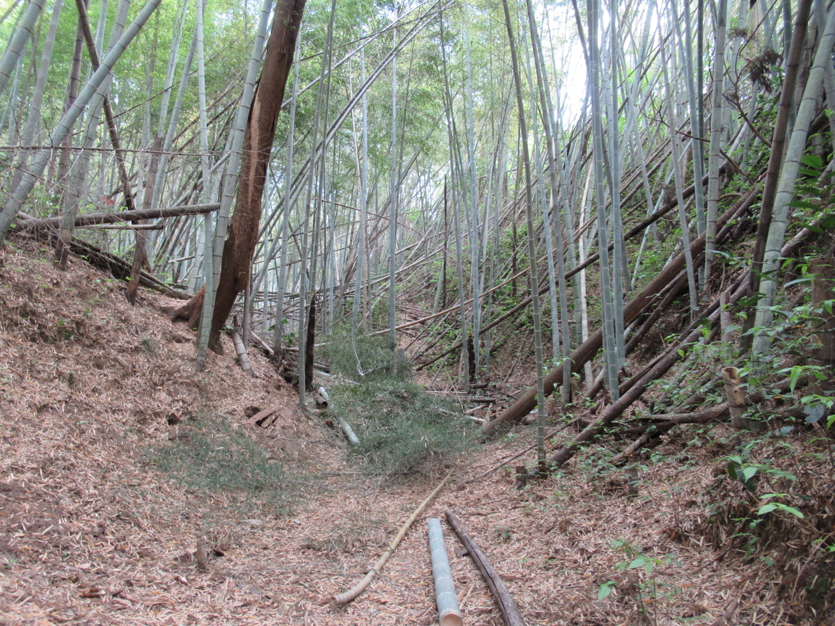 f:id:mai9mami:20210411130347j:plain