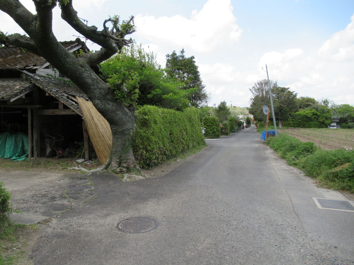 f:id:mai9mami:20210411131251j:plain