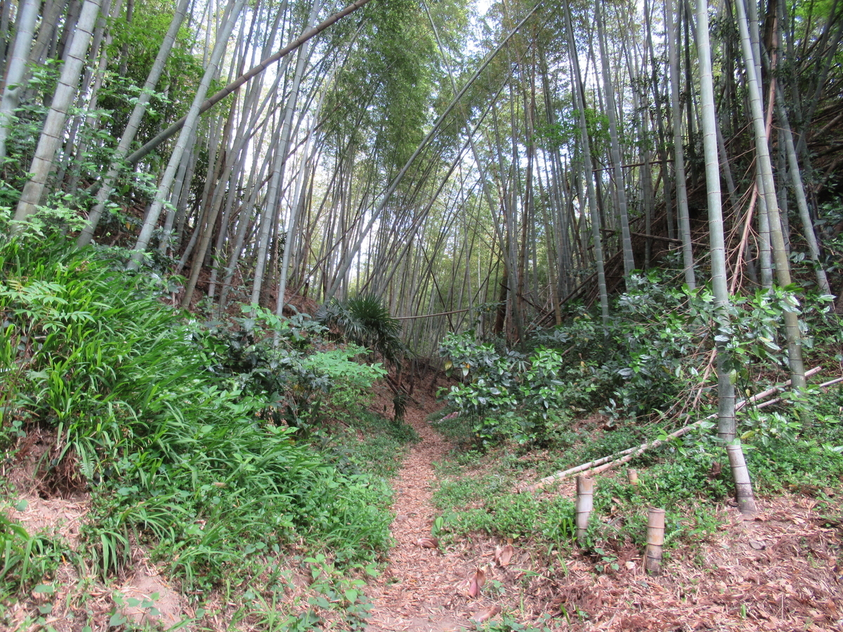 f:id:mai9mami:20210411132041j:plain