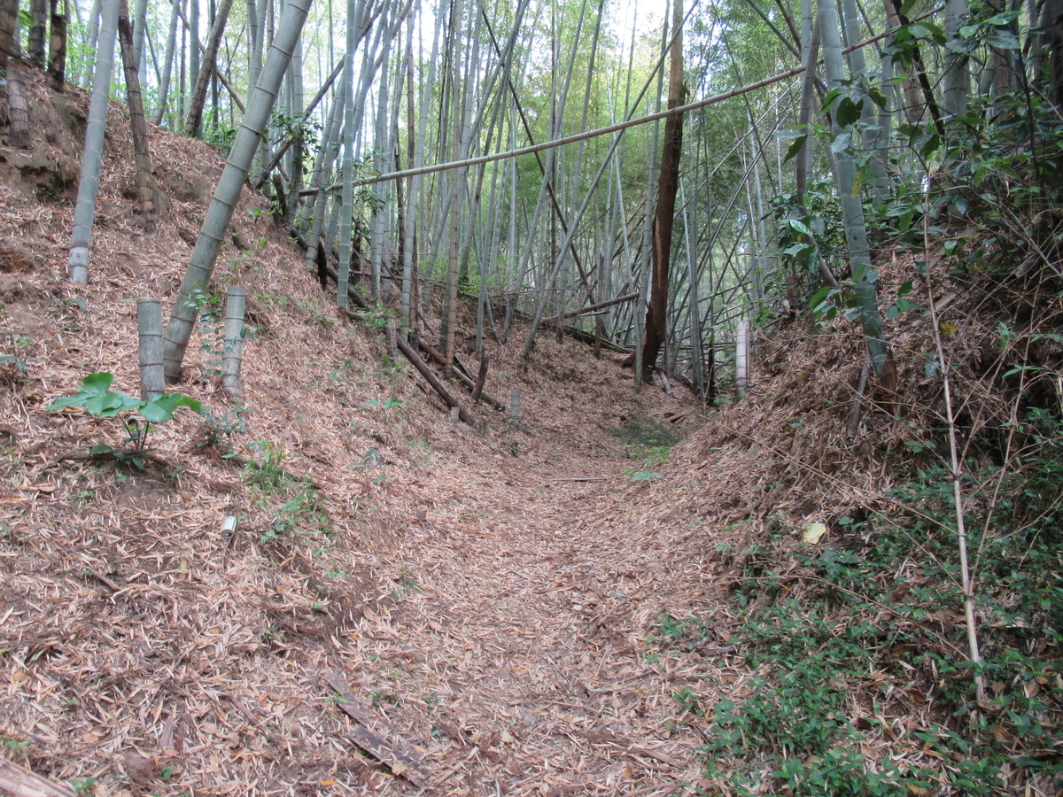 f:id:mai9mami:20210411134529j:plain