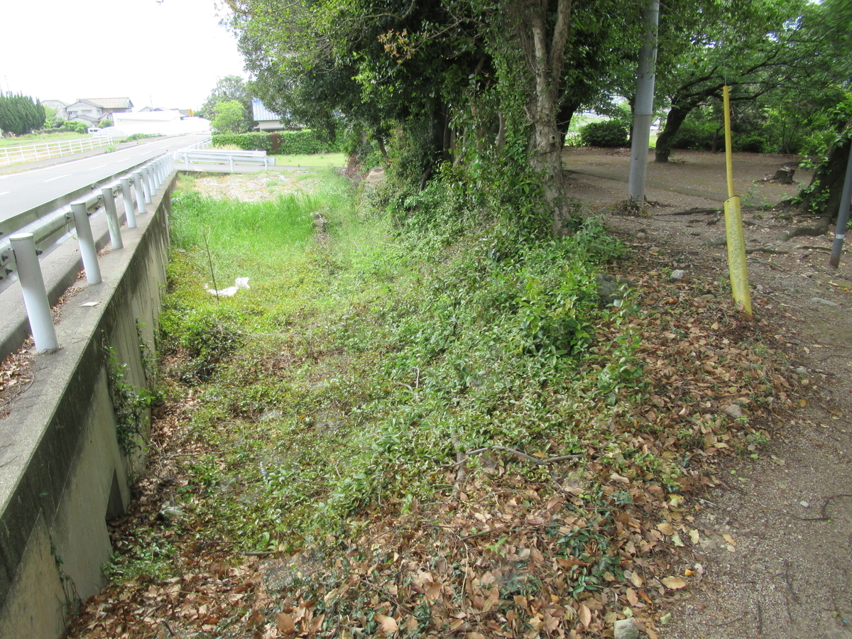 f:id:mai9mami:20210424101715j:plain