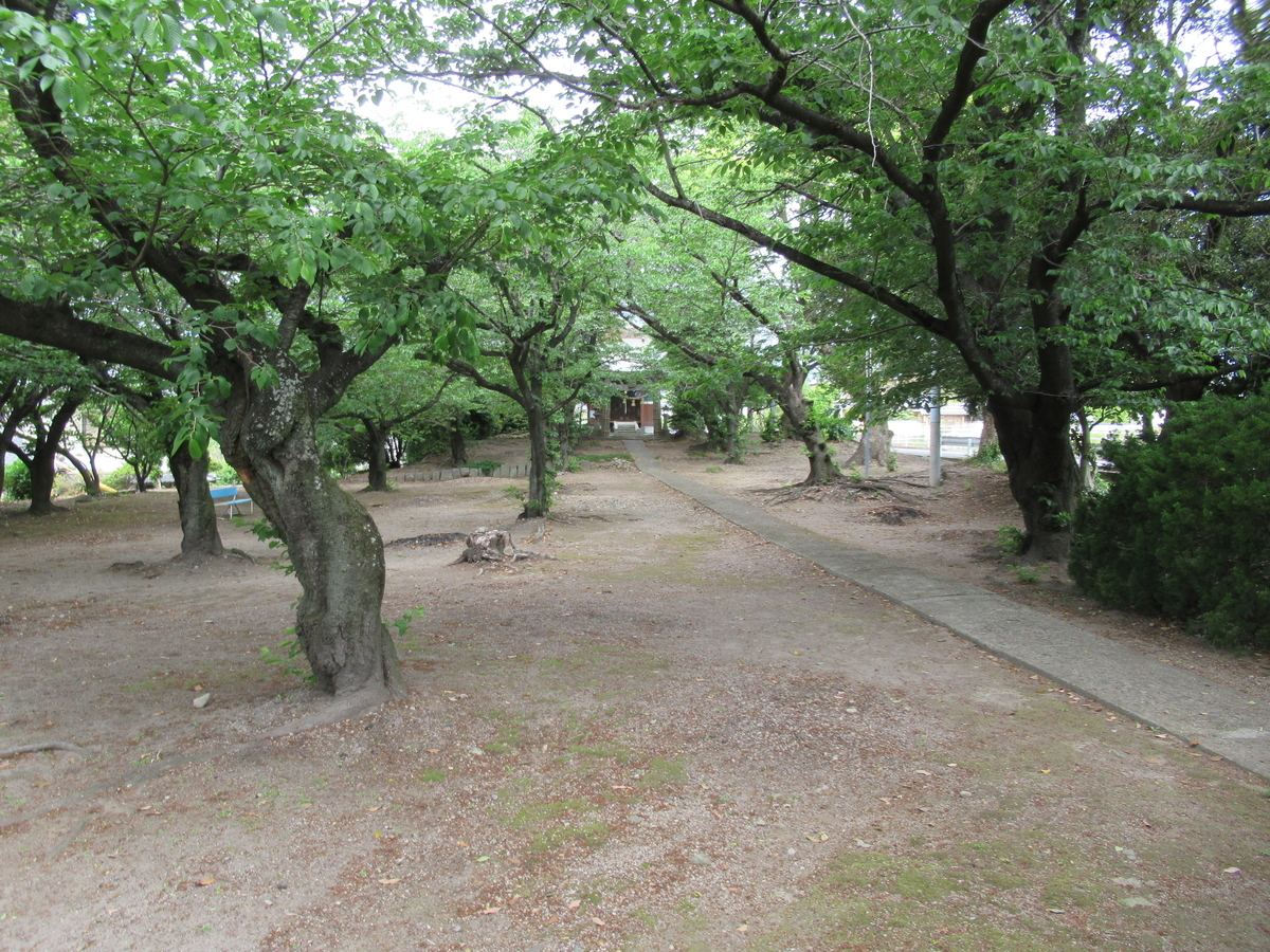 f:id:mai9mami:20210424101759j:plain