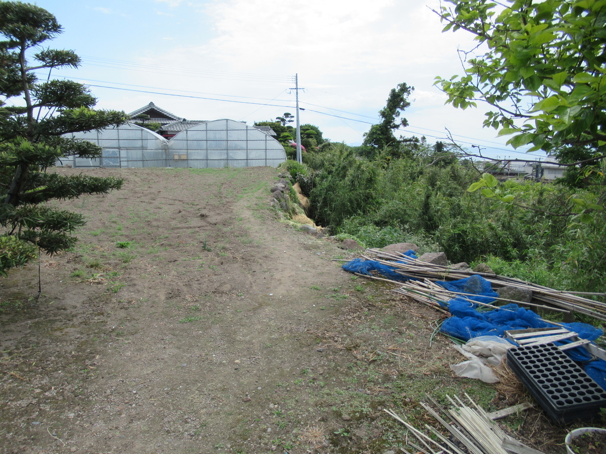 f:id:mai9mami:20210424102358j:plain