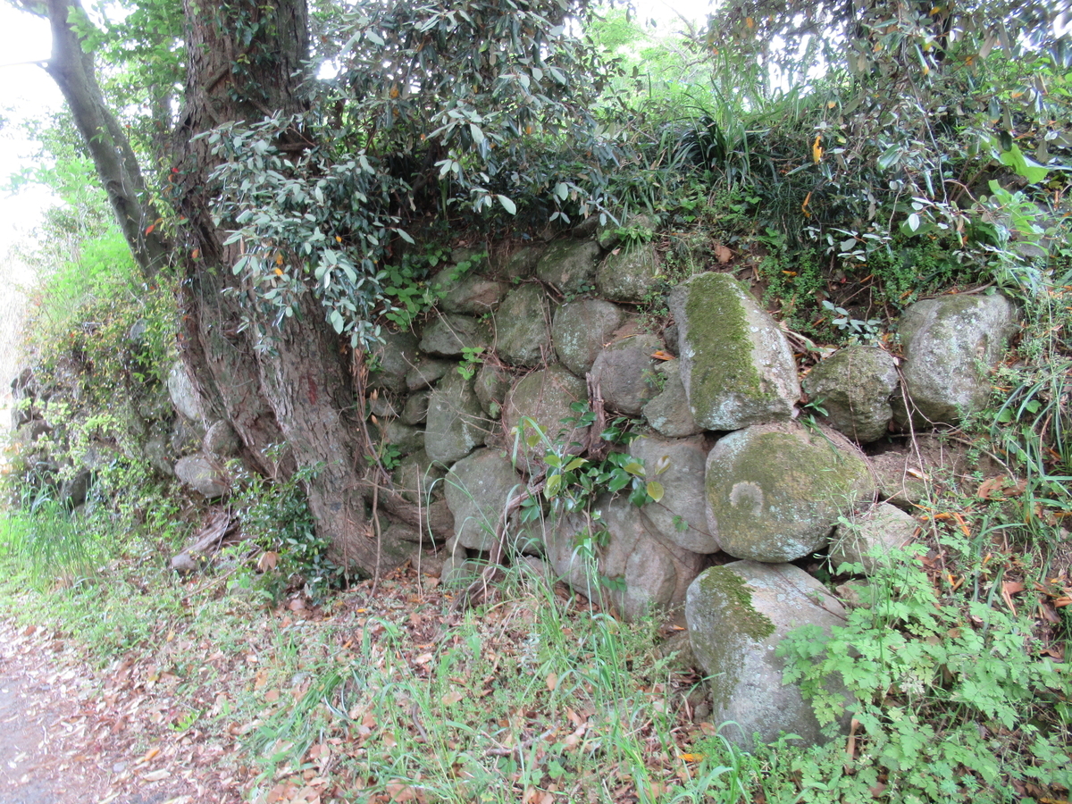 f:id:mai9mami:20210424110109j:plain