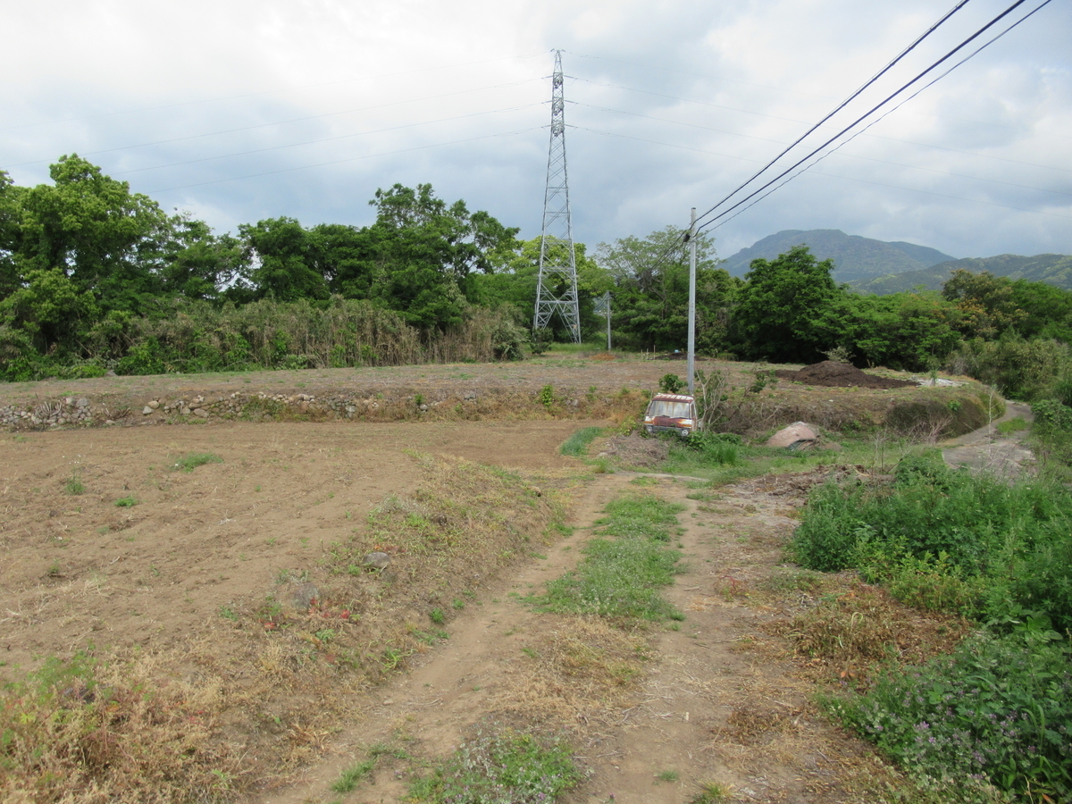 f:id:mai9mami:20210424110353j:plain