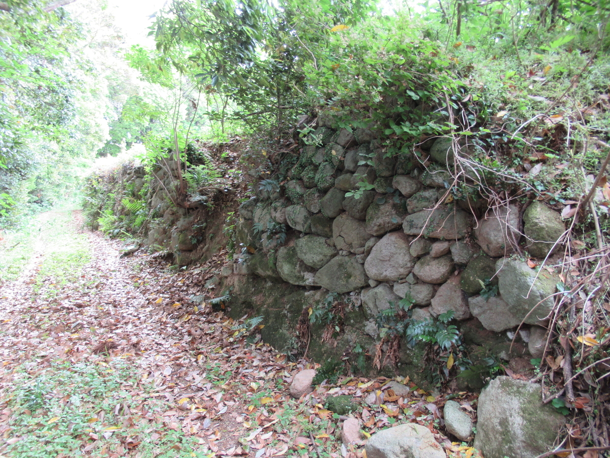 f:id:mai9mami:20210424110714j:plain