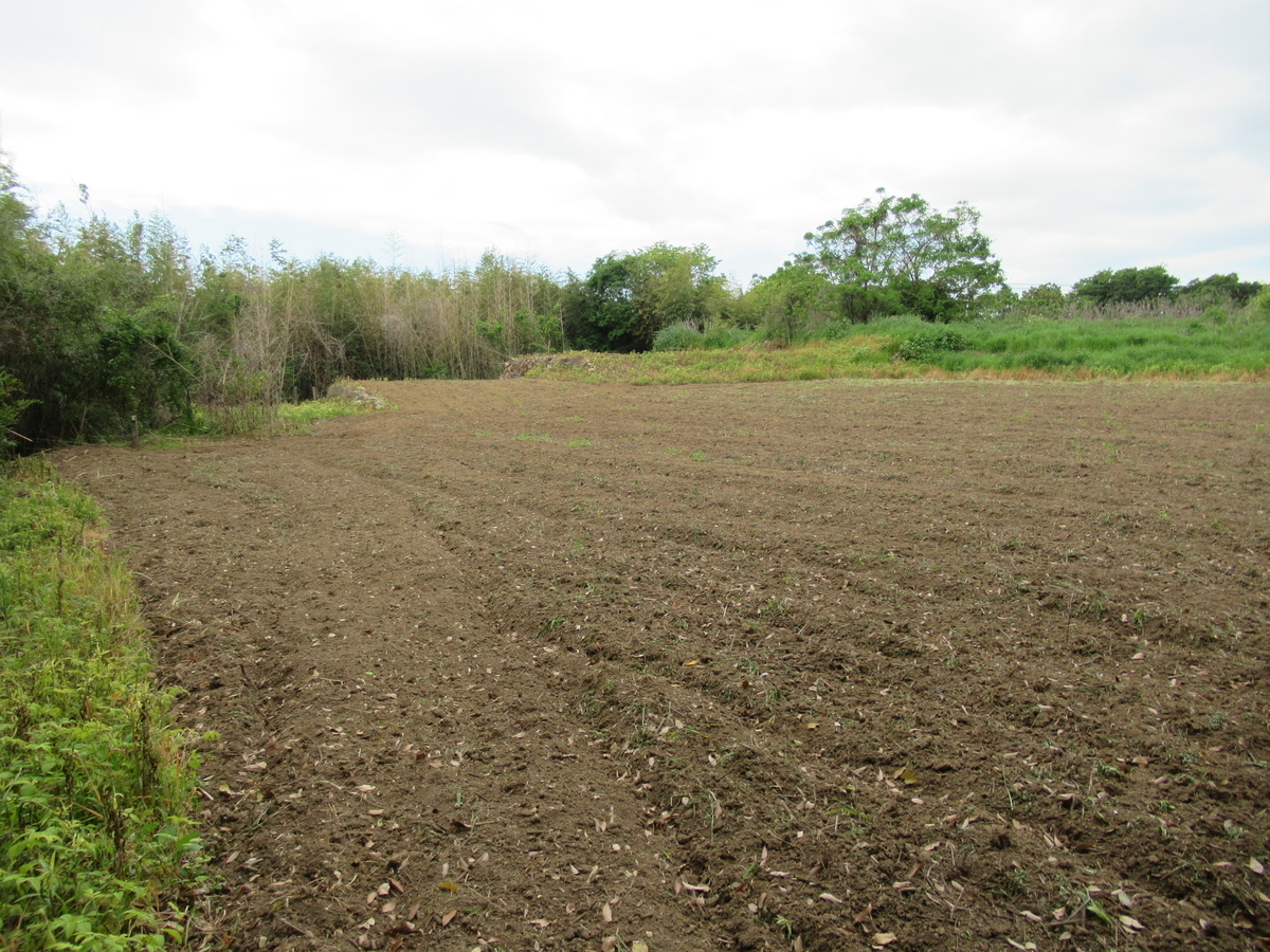 f:id:mai9mami:20210424110828j:plain