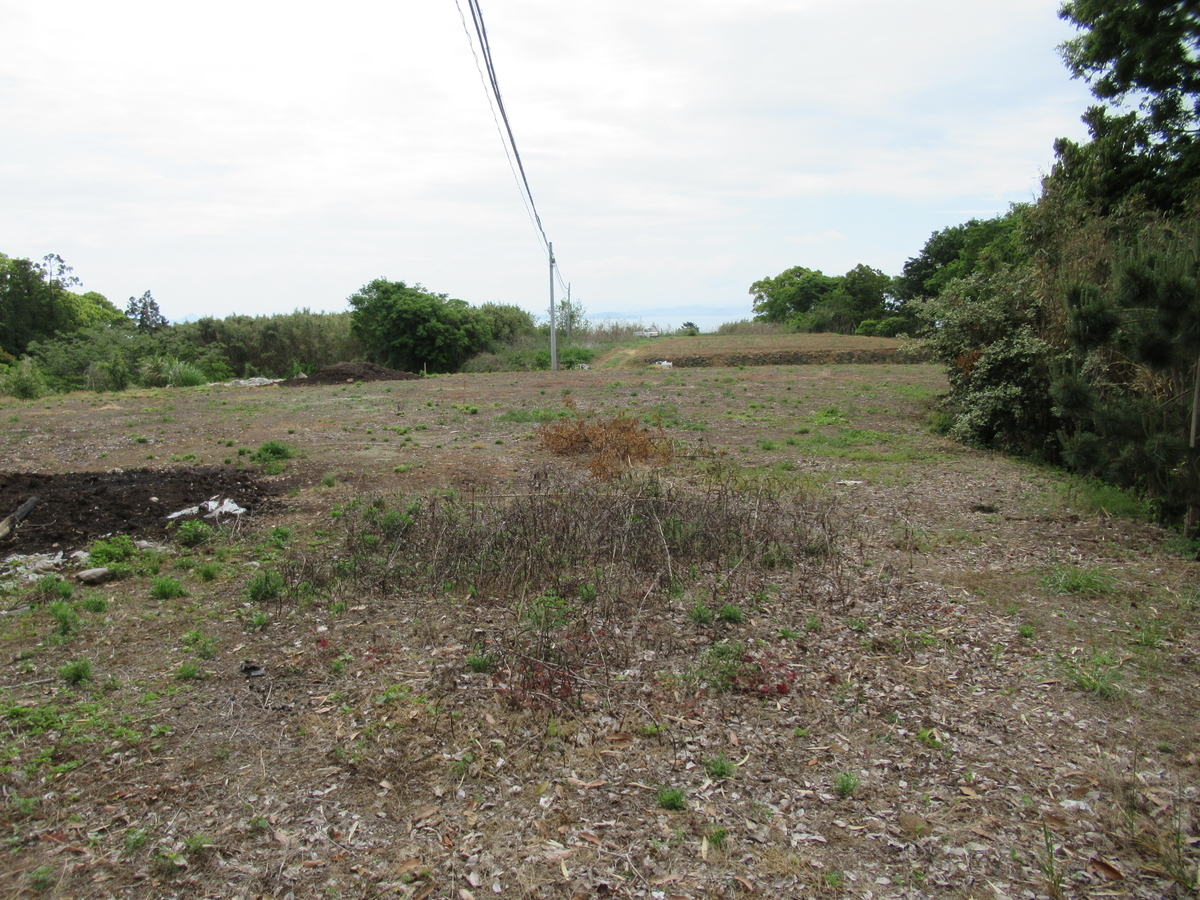 f:id:mai9mami:20210424112236j:plain