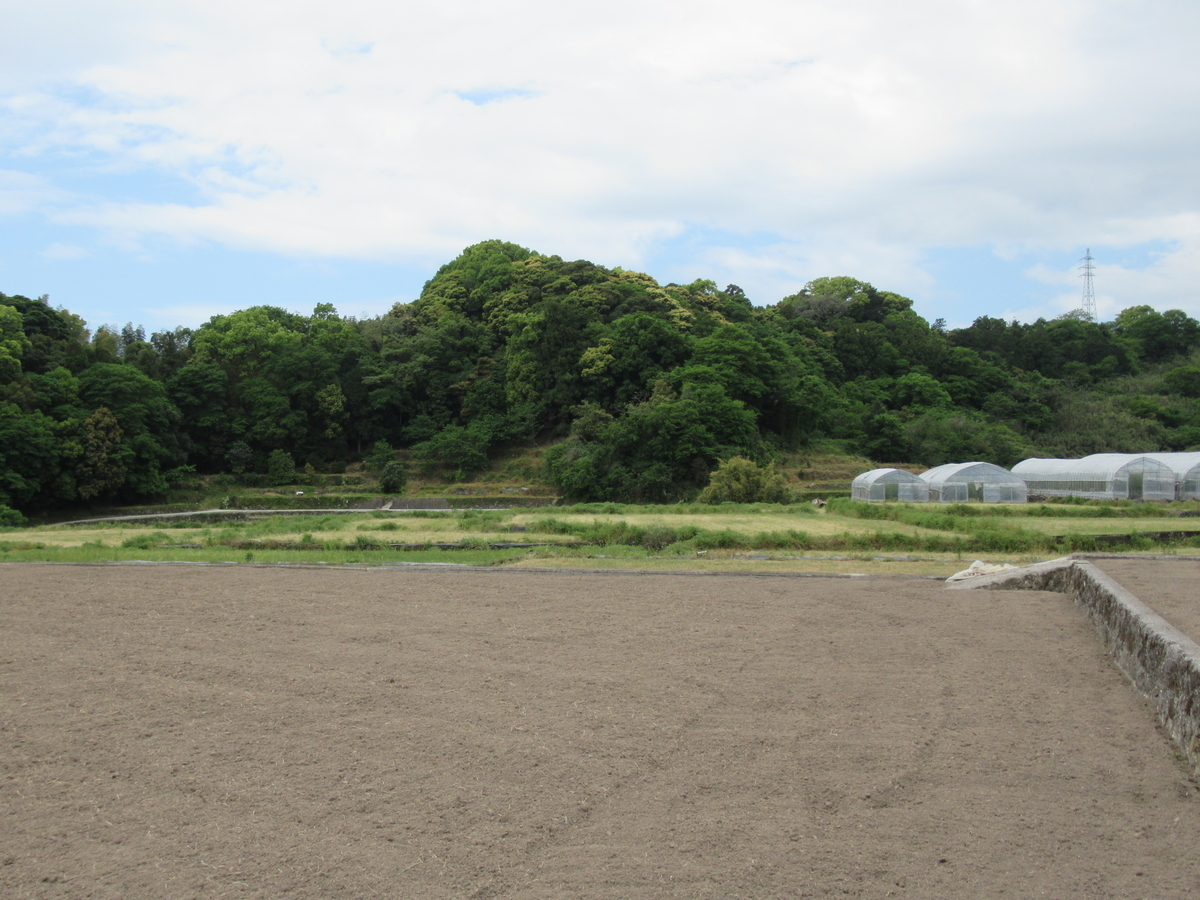 f:id:mai9mami:20210424112933j:plain