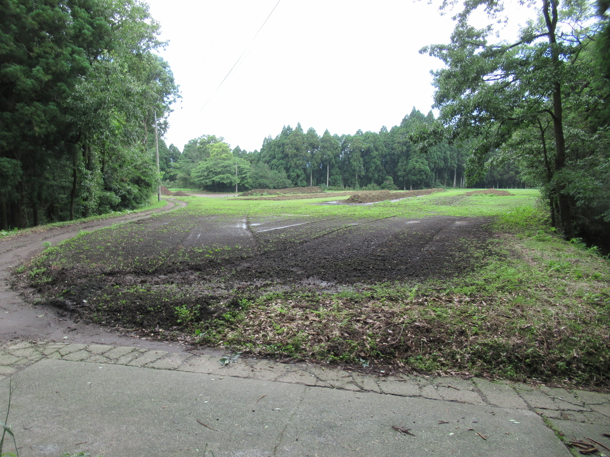 f:id:mai9mami:20210522143337j:plain