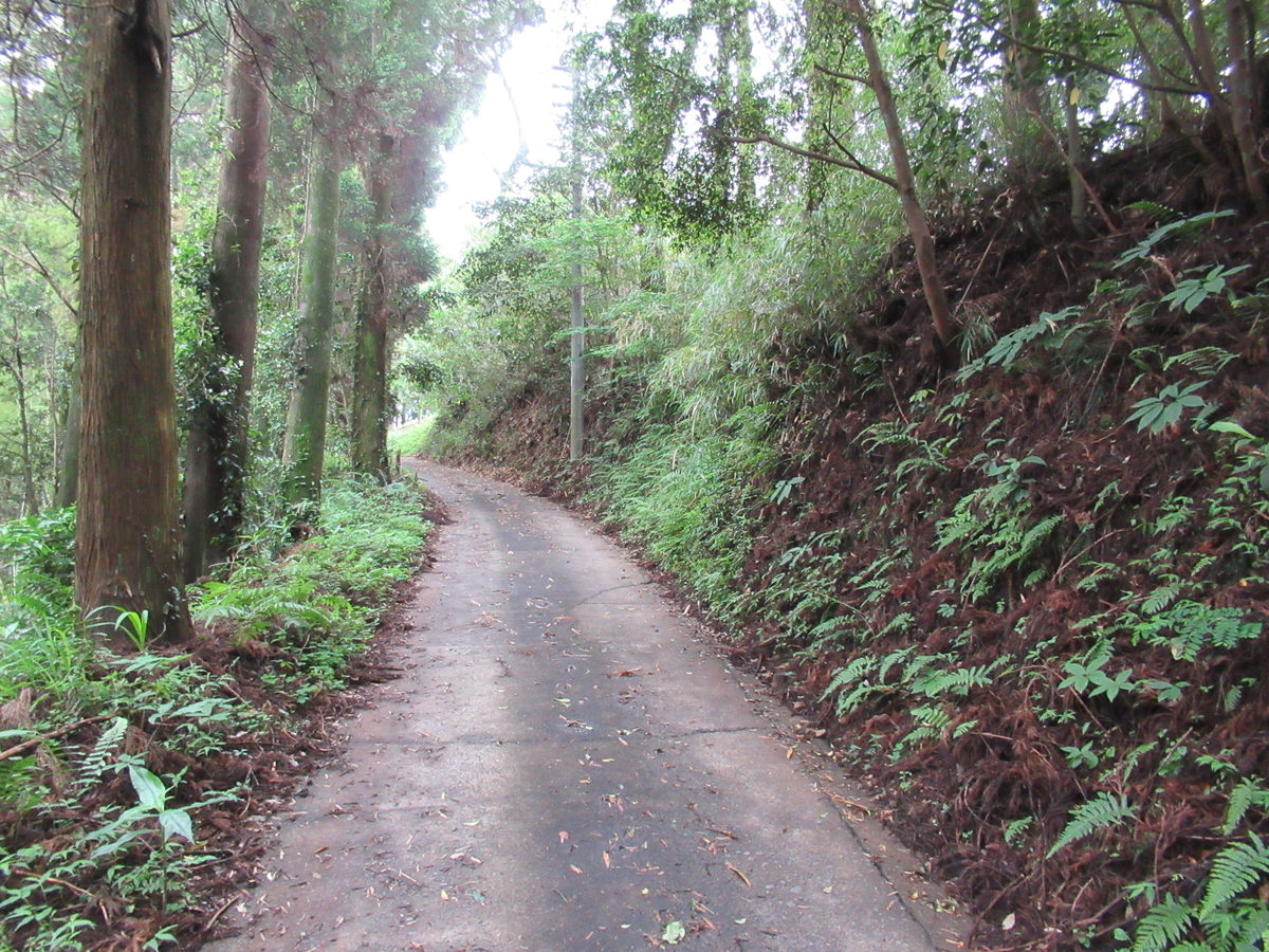 f:id:mai9mami:20210522144650j:plain