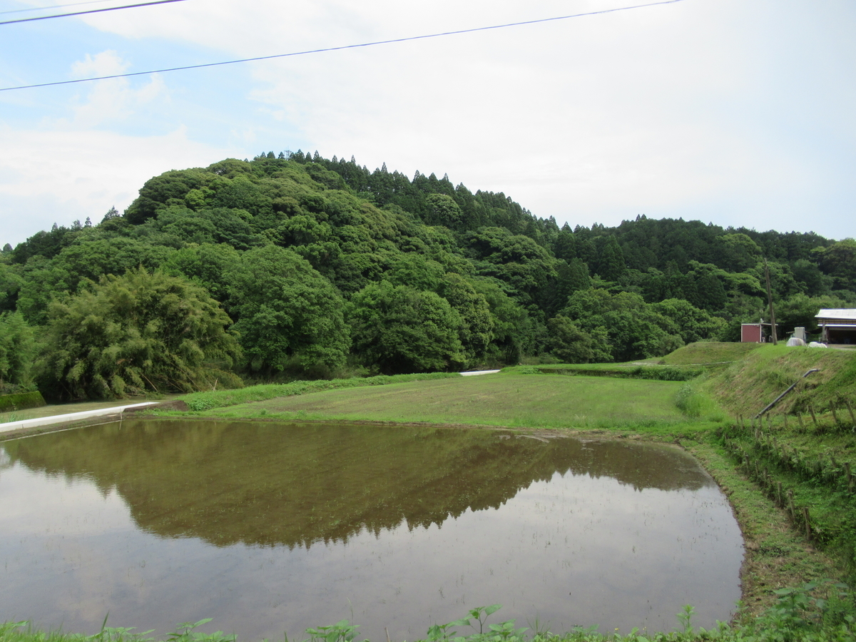 f:id:mai9mami:20210522152853j:plain