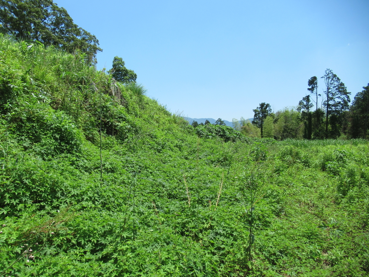 f:id:mai9mami:20210523121738j:plain