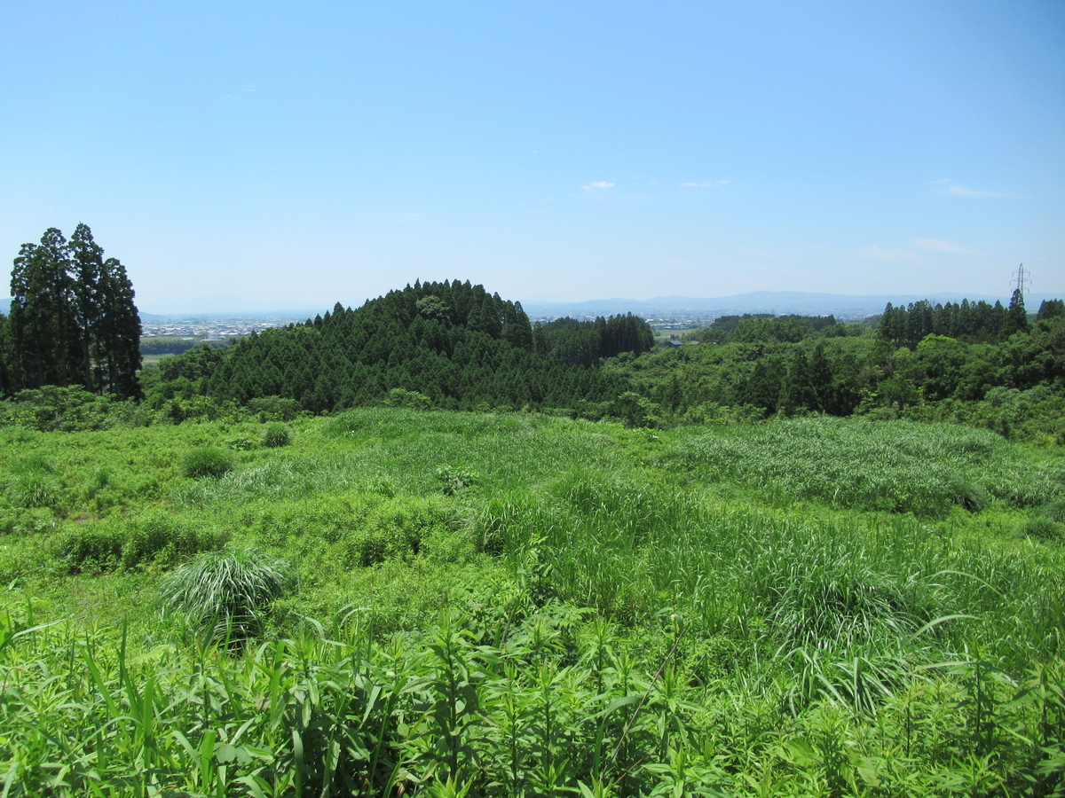 f:id:mai9mami:20210523121919j:plain