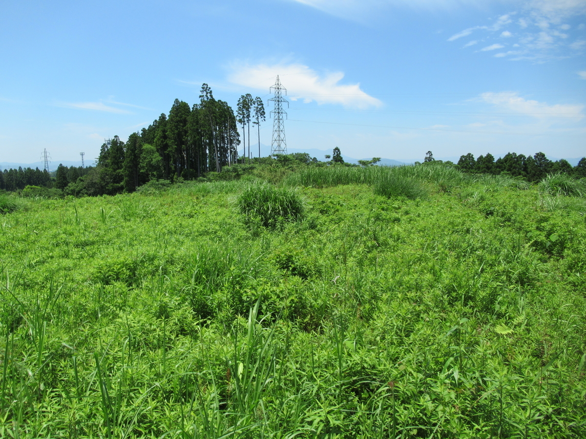 f:id:mai9mami:20210523122340j:plain