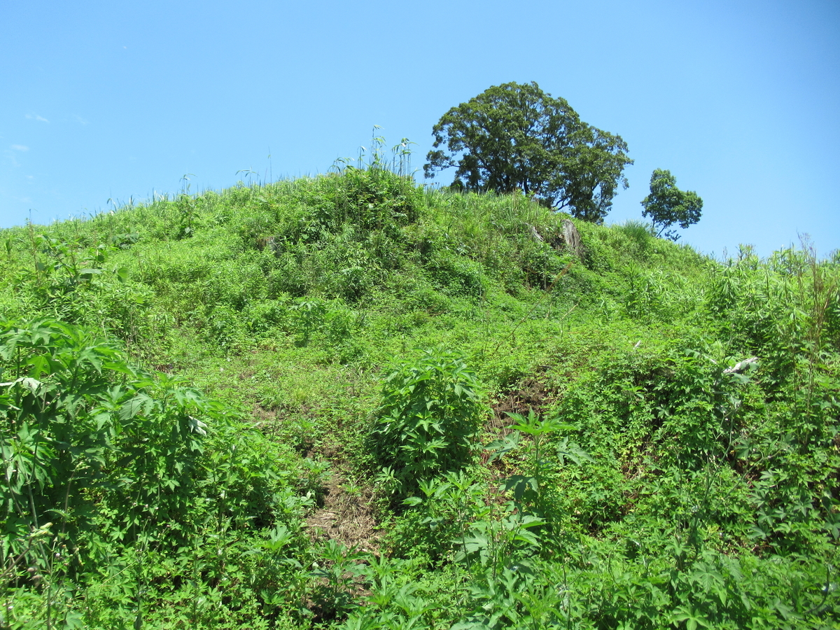 f:id:mai9mami:20210523122957j:plain