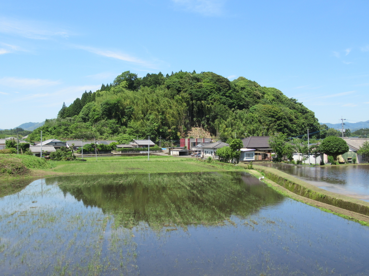 f:id:mai9mami:20210523135032j:plain