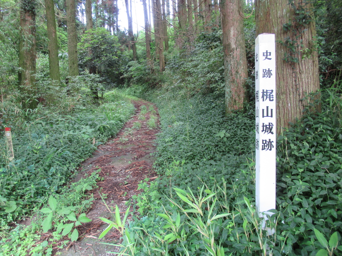 f:id:mai9mami:20210620111902j:plain