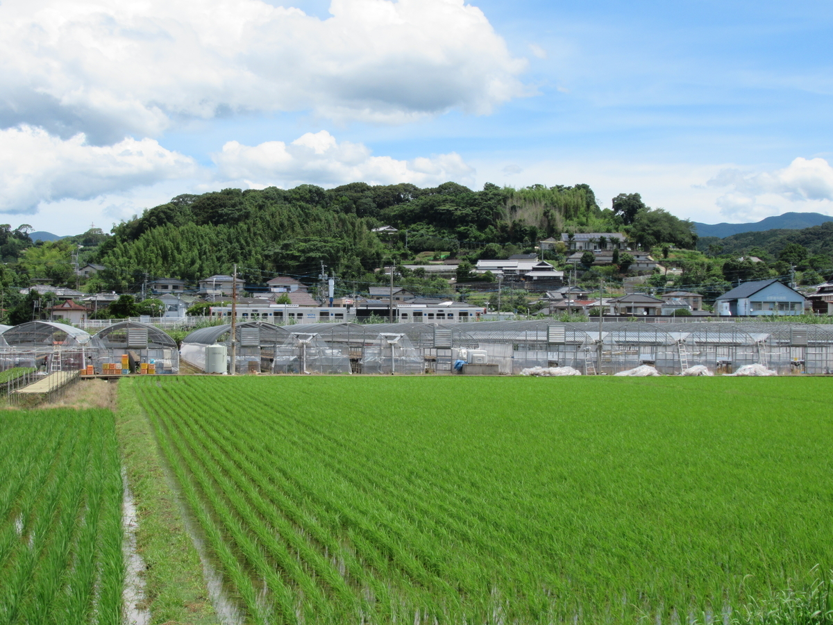 f:id:mai9mami:20210718111823j:plain