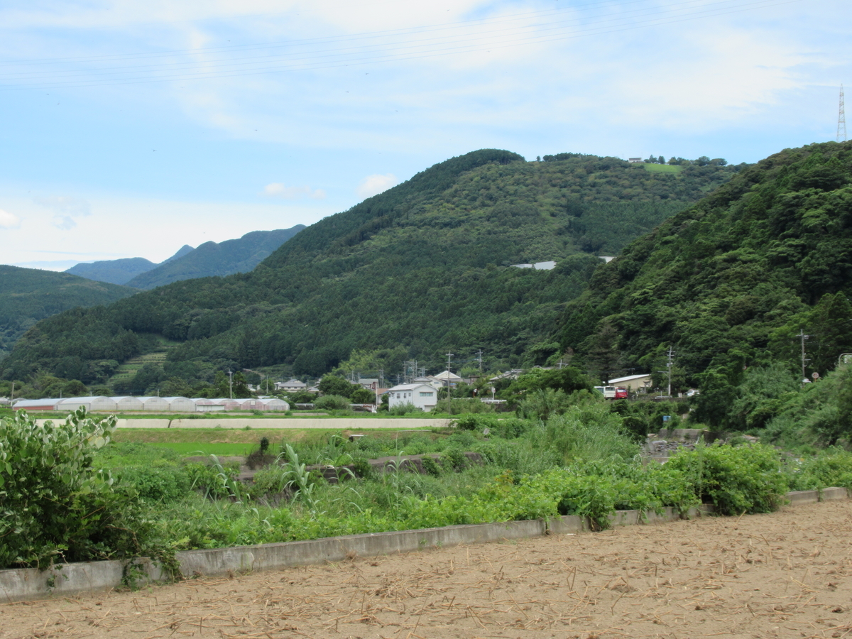 f:id:mai9mami:20210718124750j:plain