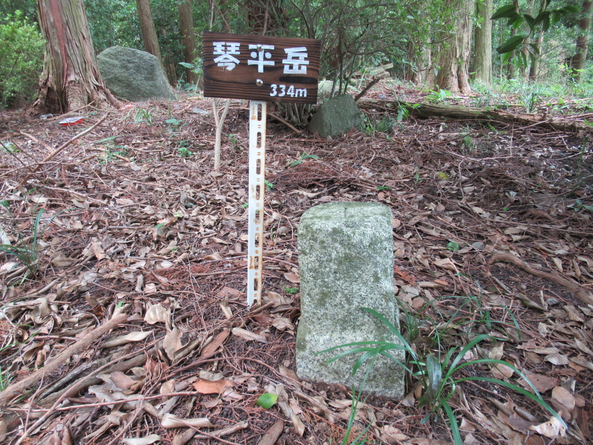 f:id:mai9mami:20210718131046j:plain