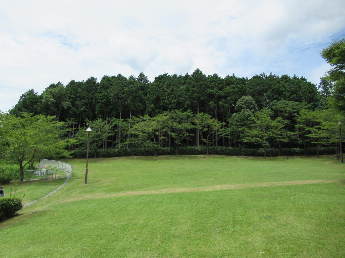 f:id:mai9mami:20210718131358j:plain