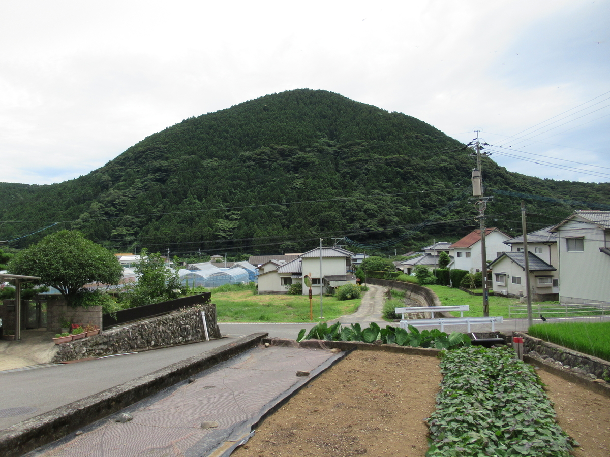 f:id:mai9mami:20210718133247j:plain