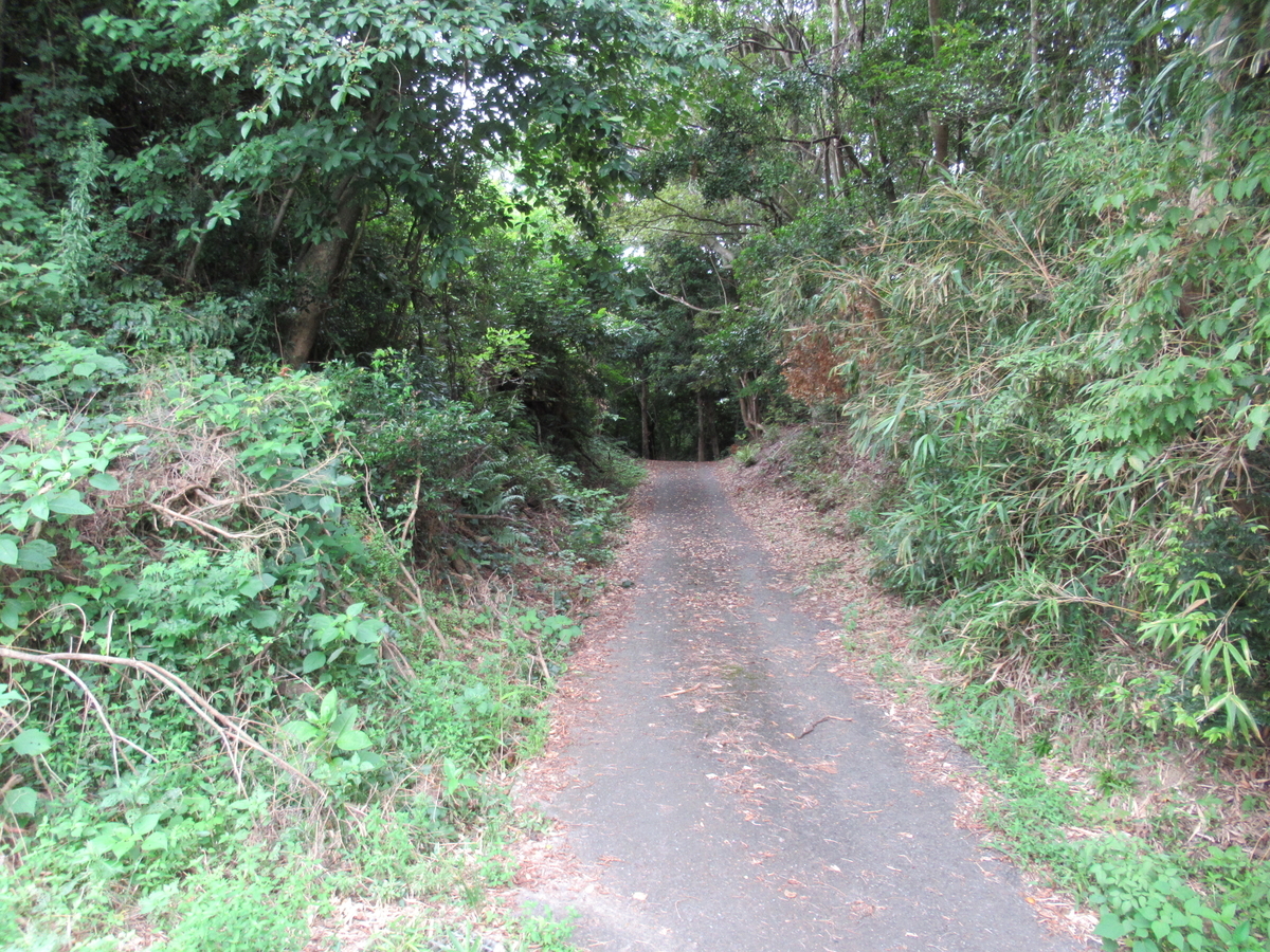 f:id:mai9mami:20210718143217j:plain