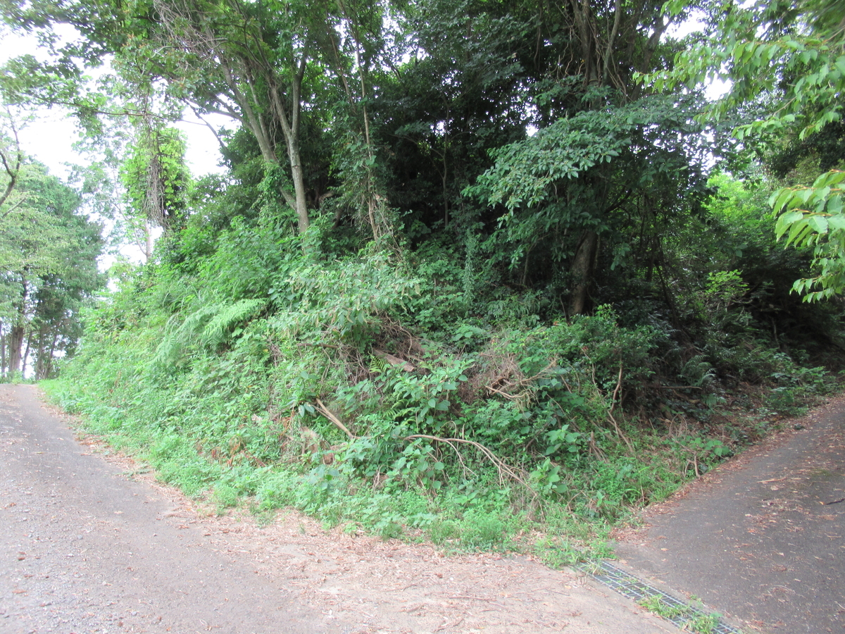 f:id:mai9mami:20210718143230j:plain