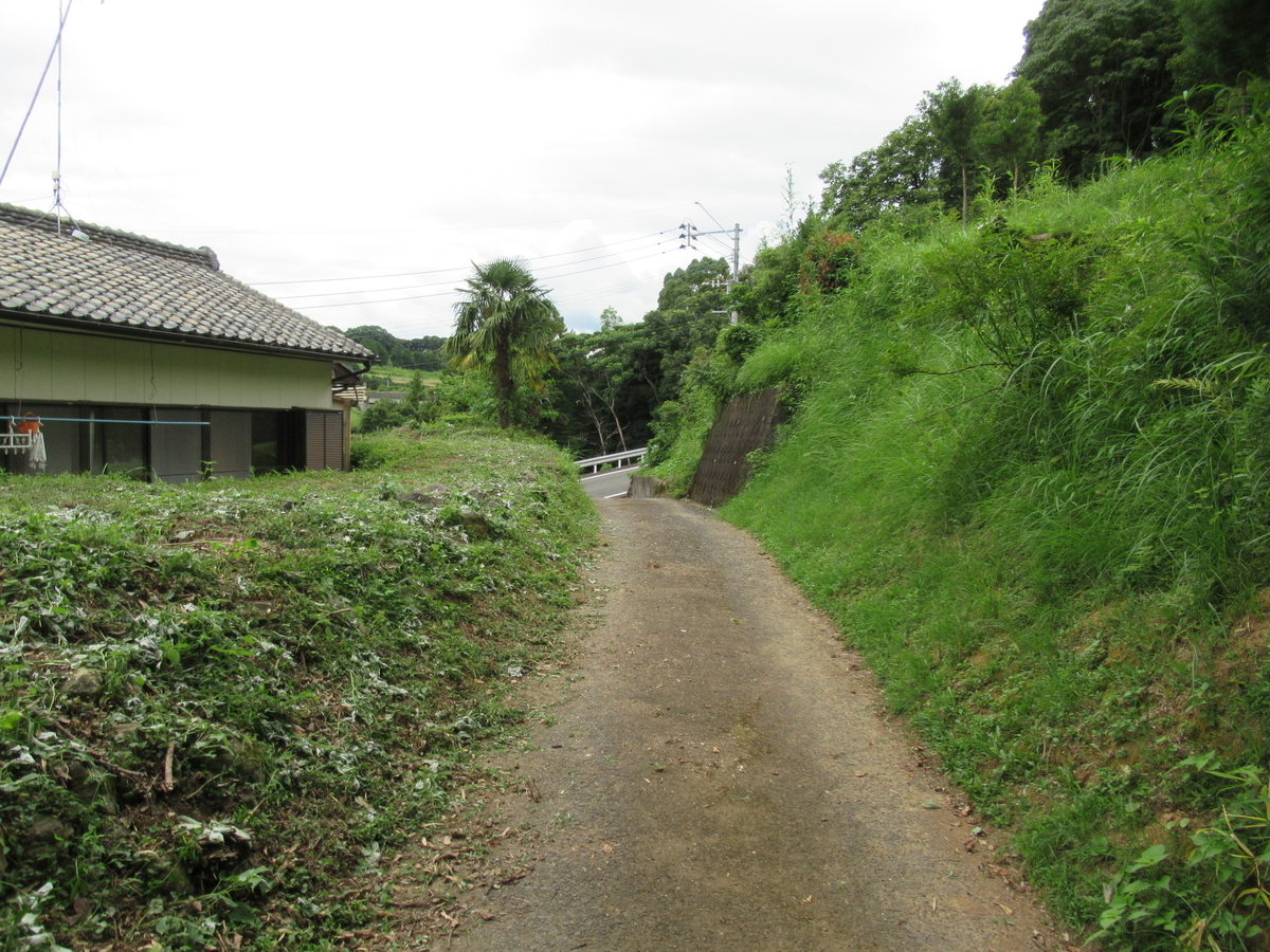 f:id:mai9mami:20210718143946j:plain