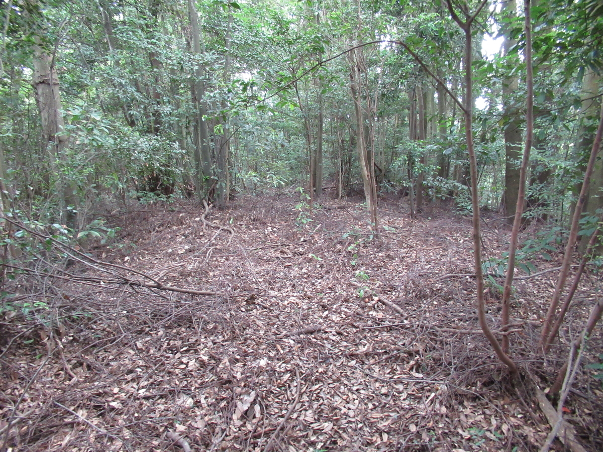 f:id:mai9mami:20210718144405j:plain