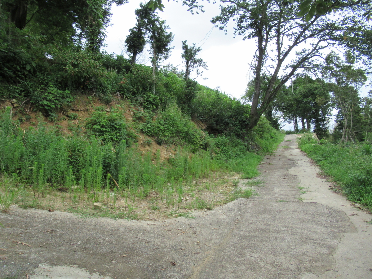 f:id:mai9mami:20210718144628j:plain