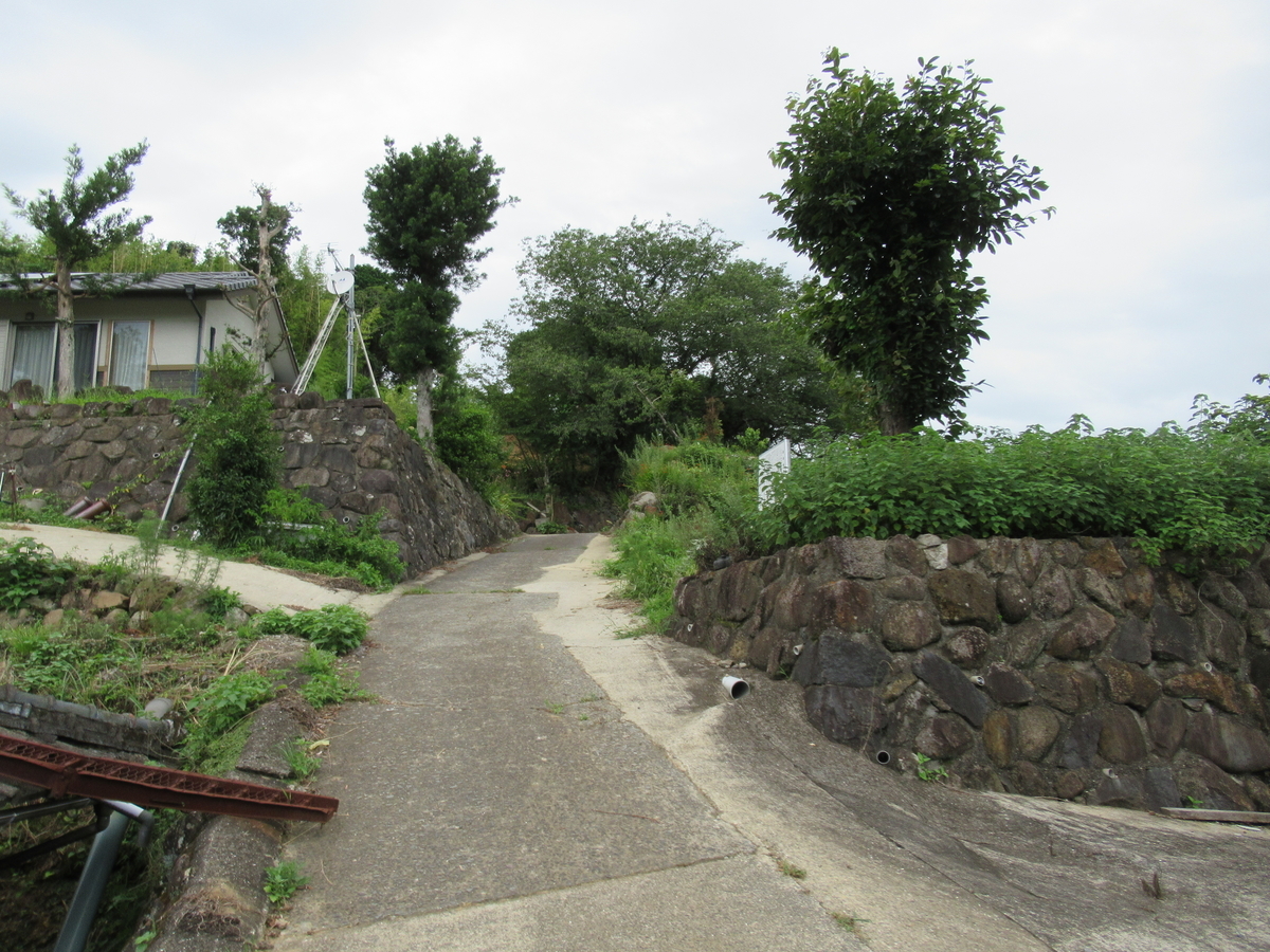 f:id:mai9mami:20210718145120j:plain