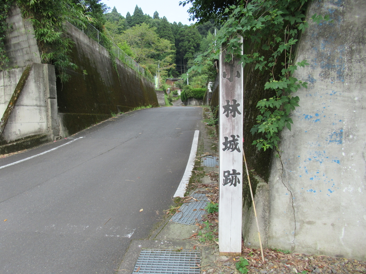 f:id:mai9mami:20210731150147j:plain