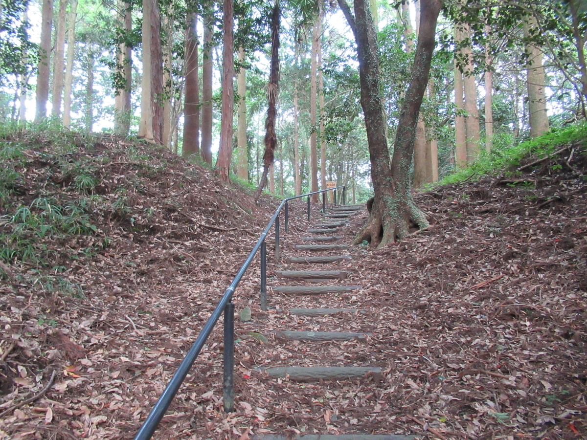 f:id:mai9mami:20210731150545j:plain