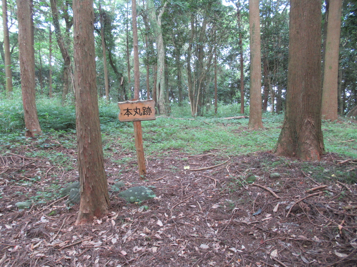 f:id:mai9mami:20210731150607j:plain