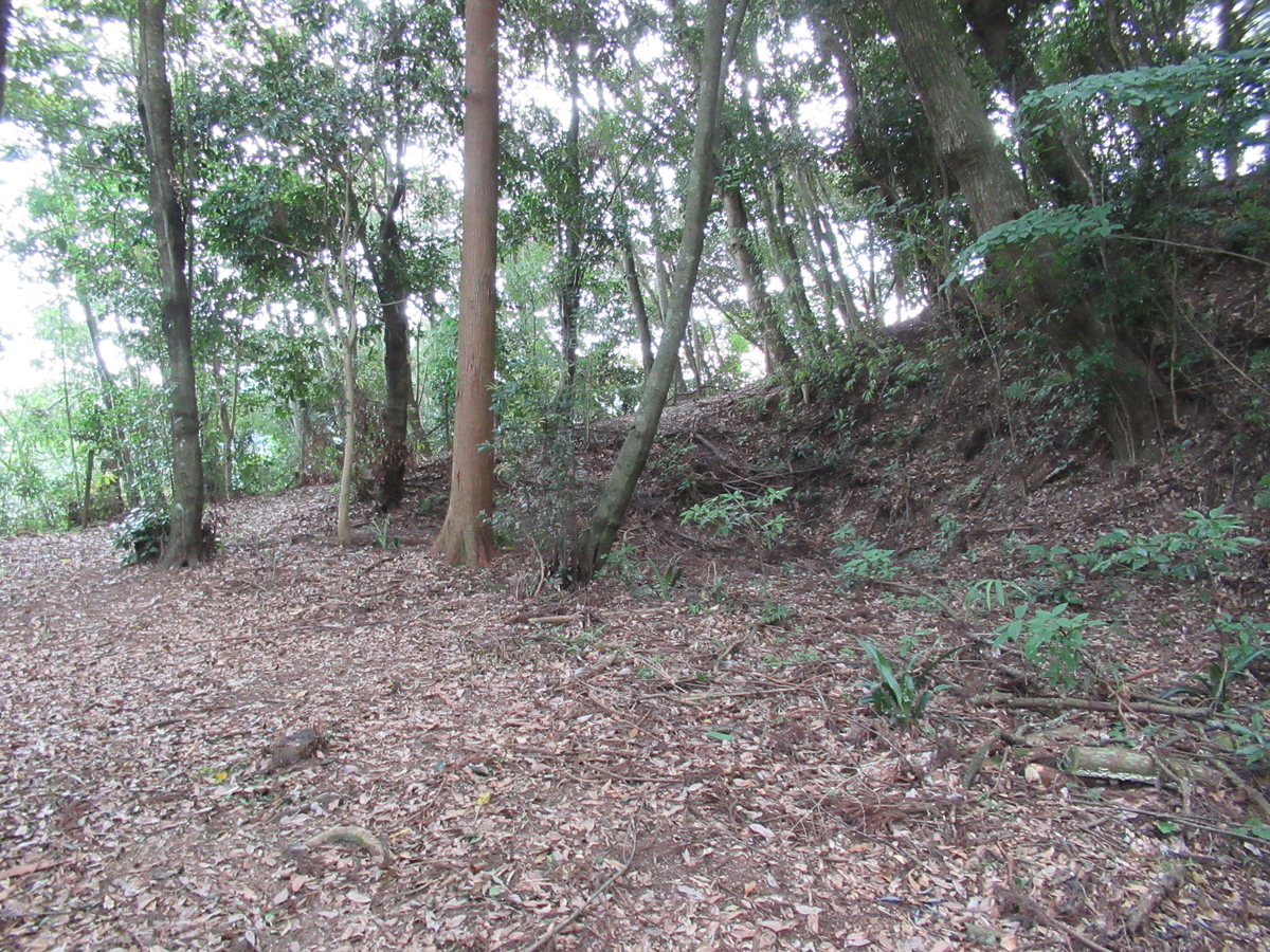 f:id:mai9mami:20210731154244j:plain