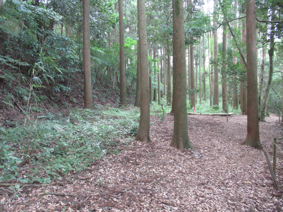 f:id:mai9mami:20210731154324j:plain