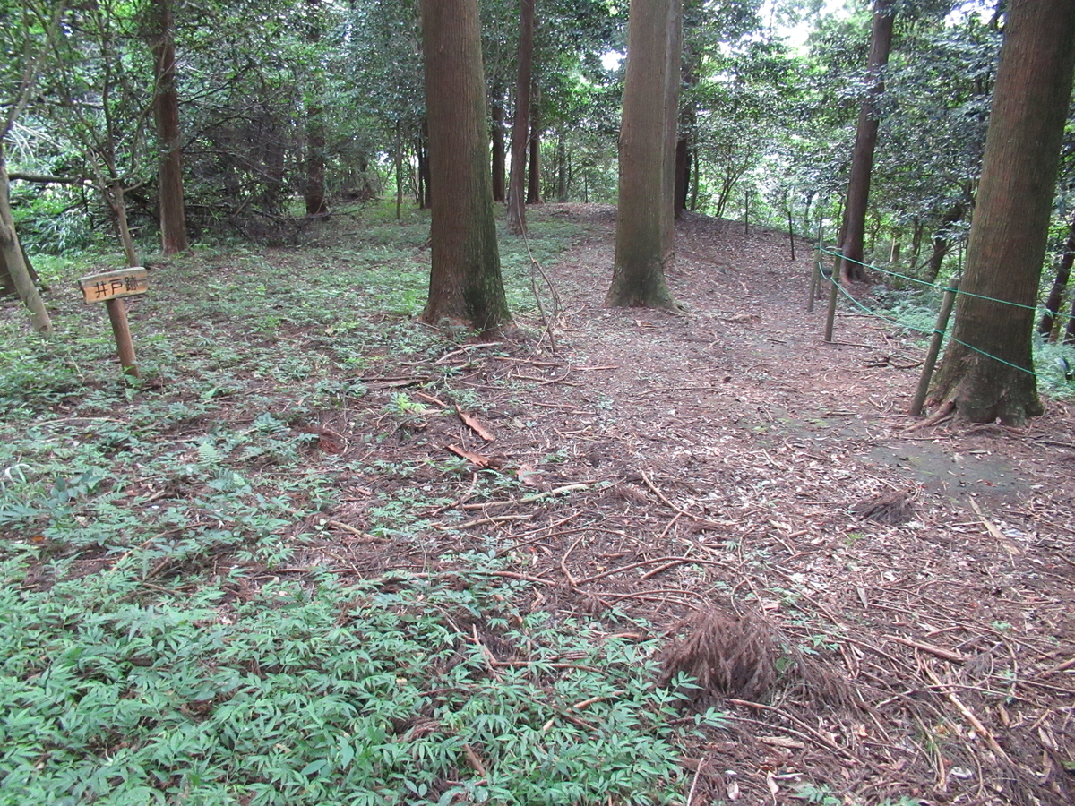 f:id:mai9mami:20210731155349j:plain