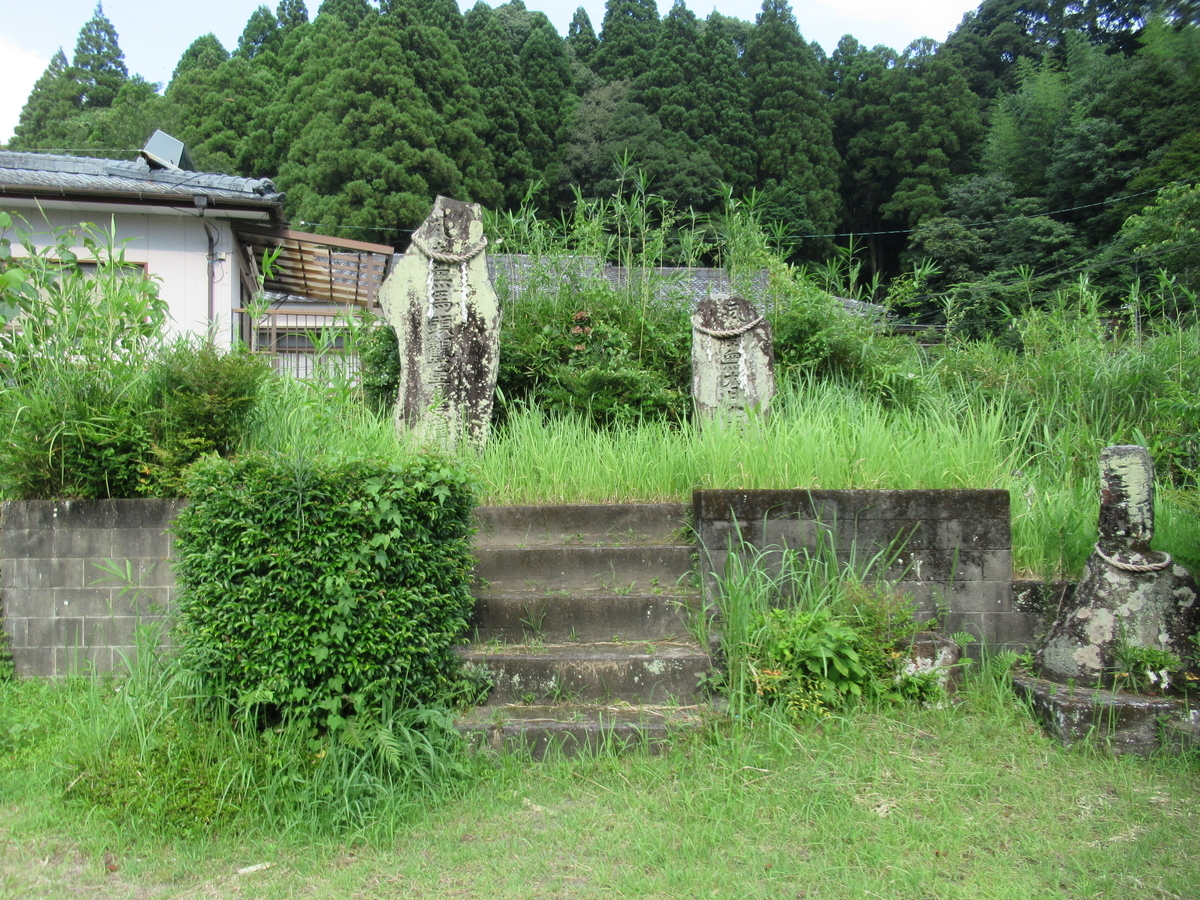 f:id:mai9mami:20210731160840j:plain