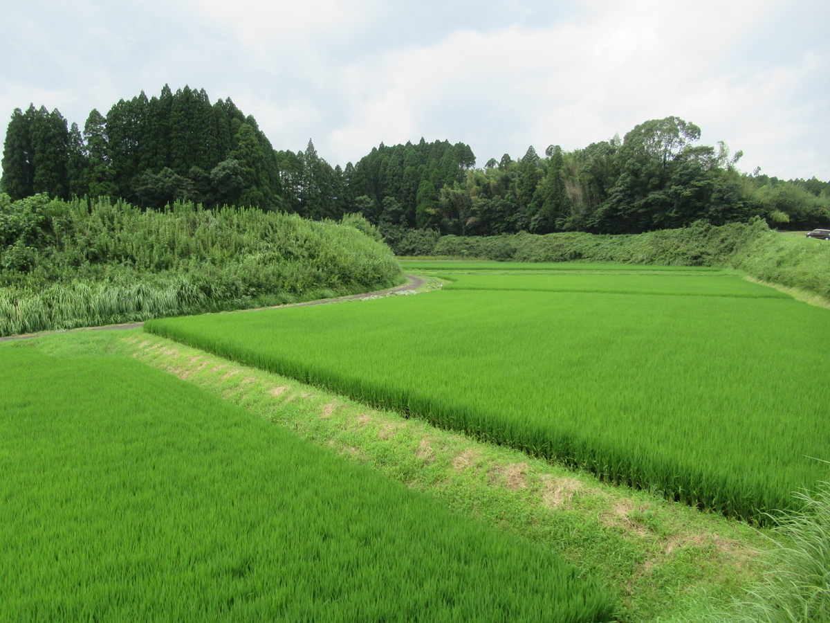 f:id:mai9mami:20210822110708j:plain